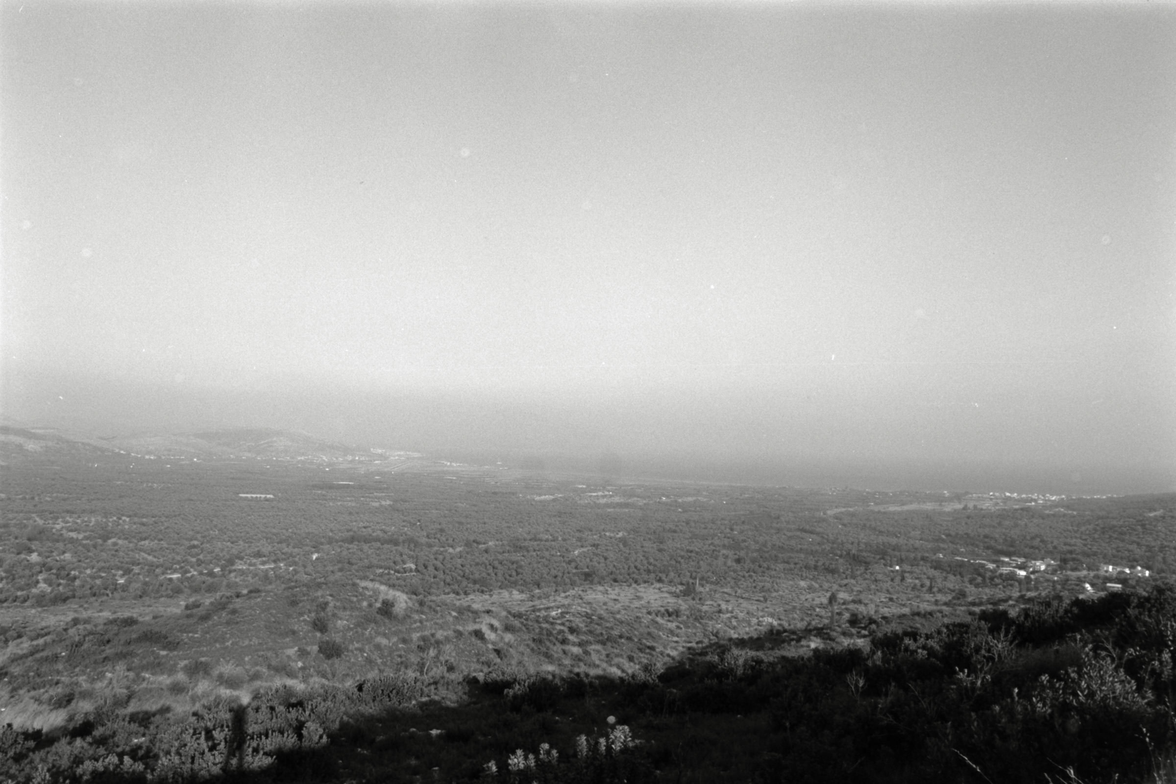 AHP F1991 09 001 sc250507 img21 NLP